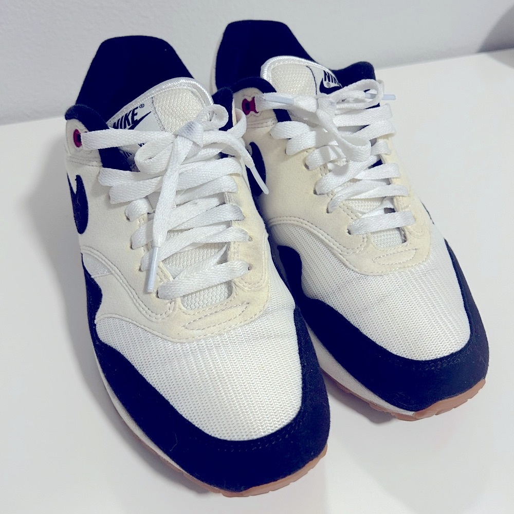 Nike Air Max 1 Custom